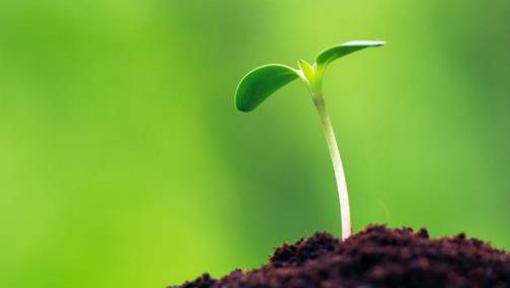 心理健康對人的重要性?