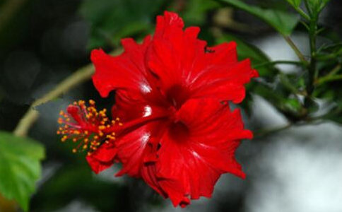 扶?；? />
</p>
<p style=